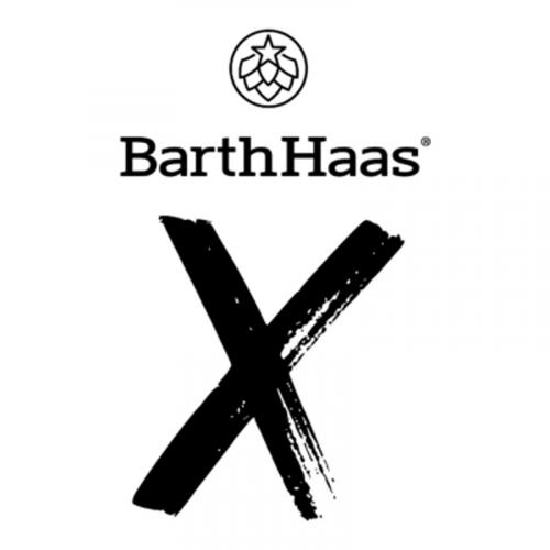 Baarth Haas X
