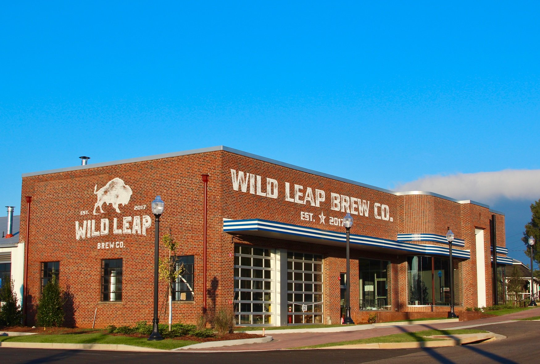 Wild Leap (The Beers of America)