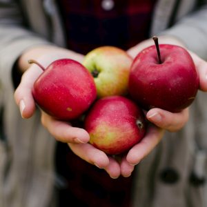 Sheppy’s Cider